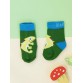 Chameleon Socks